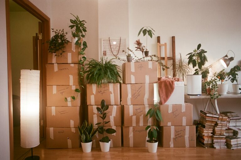 Packing Services for Moving: What You Actually Get